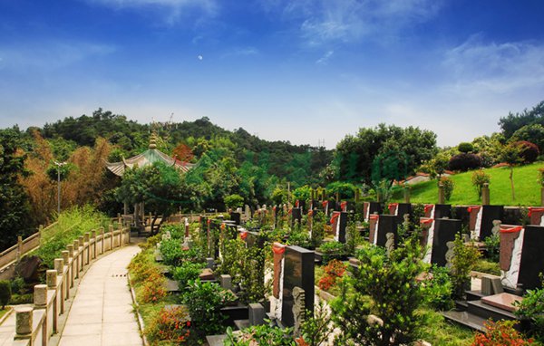 永乐高·(中国区)官方网站