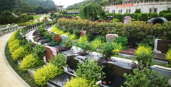 永乐高·(中国区)官方网站