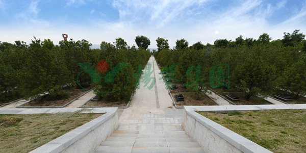 永乐高·(中国区)官方网站