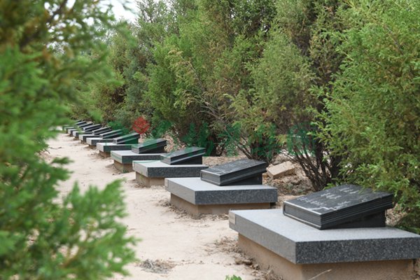 永乐高·(中国区)官方网站