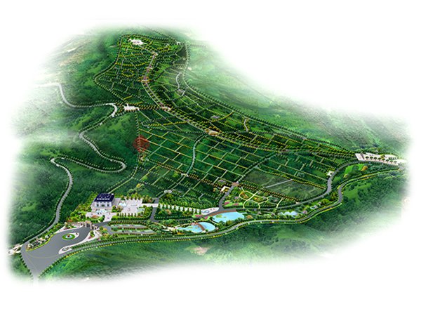 永乐高·(中国区)官方网站