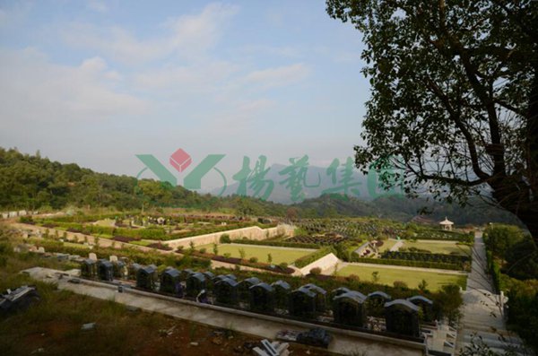 永乐高·(中国区)官方网站