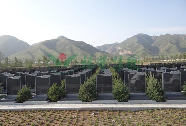 永乐高·(中国区)官方网站