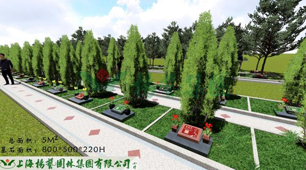 永乐高·(中国区)官方网站