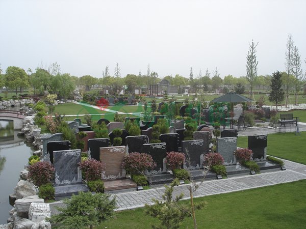 永乐高·(中国区)官方网站