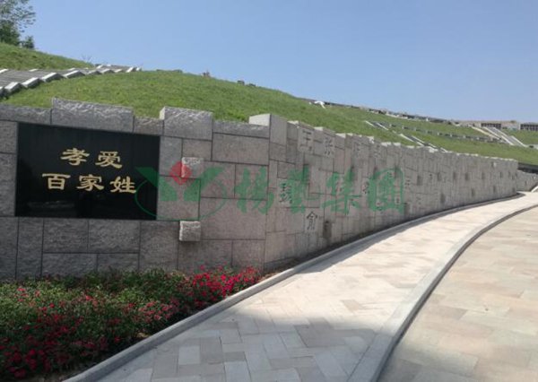 永乐高·(中国区)官方网站