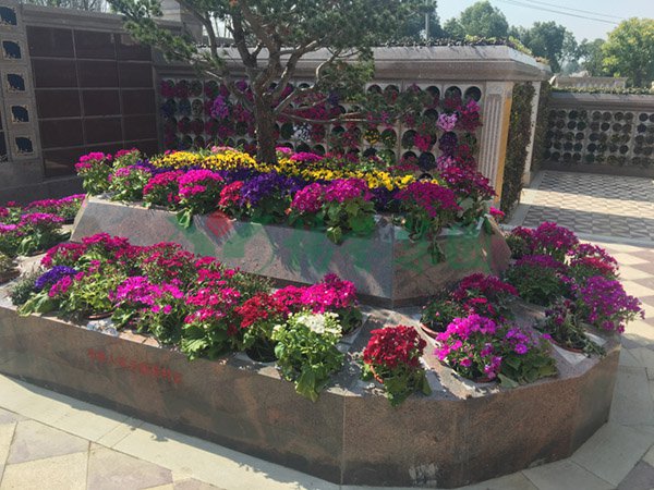 永乐高·(中国区)官方网站