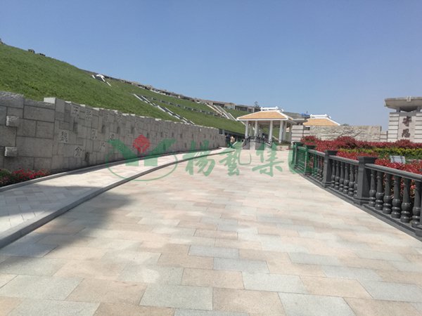 永乐高·(中国区)官方网站