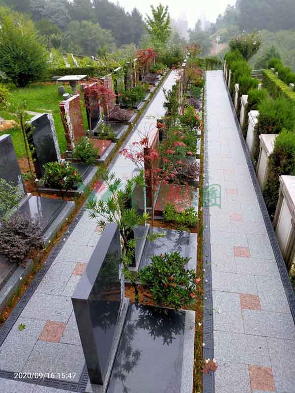 永乐高·(中国区)官方网站