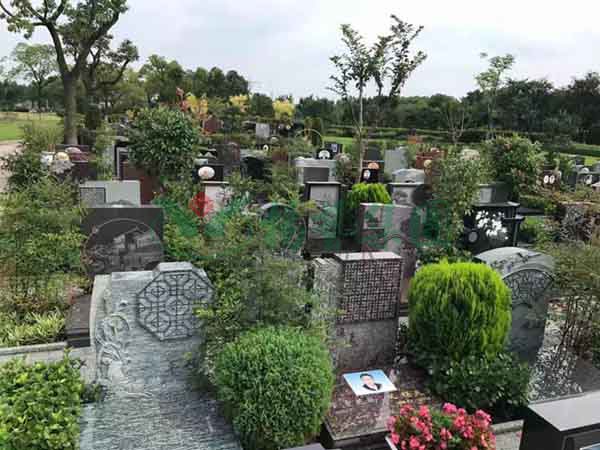 永乐高·(中国区)官方网站