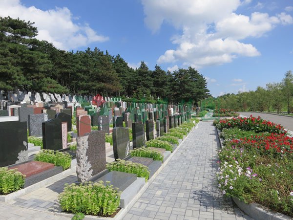 永乐高·(中国区)官方网站