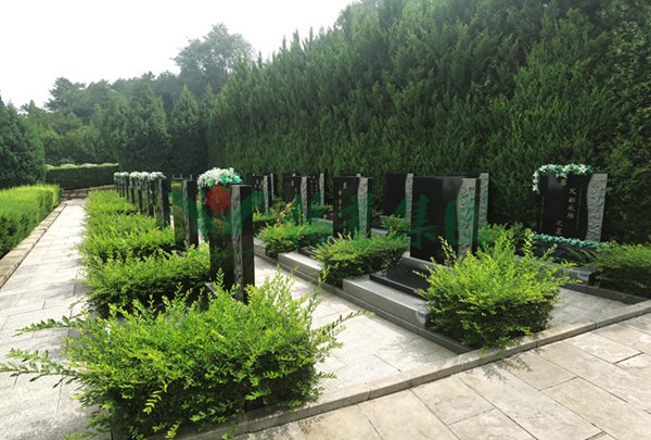 永乐高·(中国区)官方网站