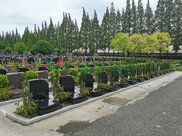 永乐高·(中国区)官方网站