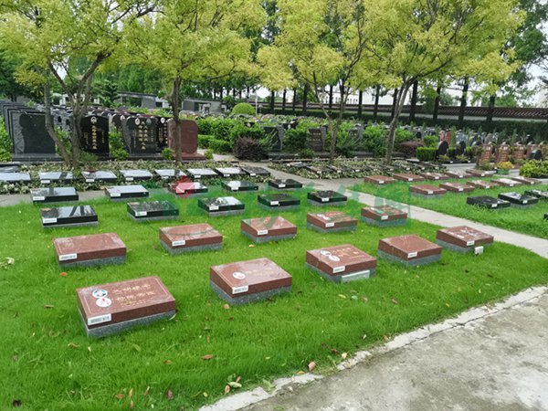 永乐高·(中国区)官方网站