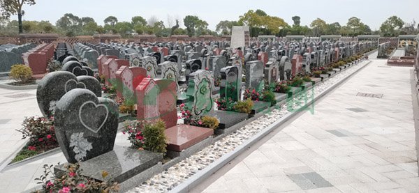 永乐高·(中国区)官方网站