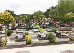 上；；；；懔靶腔鹎