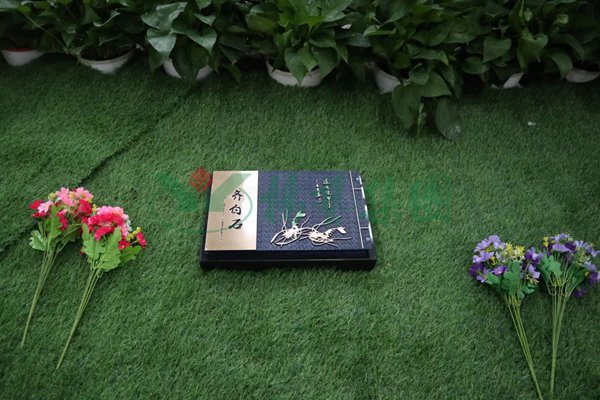 永乐高·(中国区)官方网站