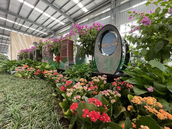 永乐高·(中国区)官方网站