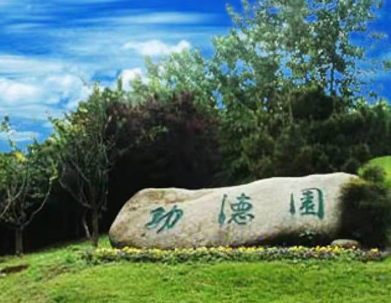 永乐高·(中国区)官方网站