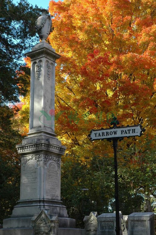 永乐高·(中国区)官方网站