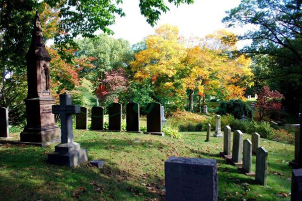 永乐高·(中国区)官方网站