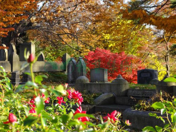 永乐高·(中国区)官方网站