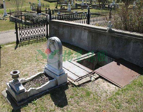 永乐高·(中国区)官方网站