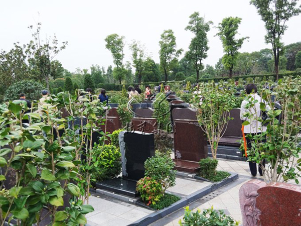 永乐高·(中国区)官方网站