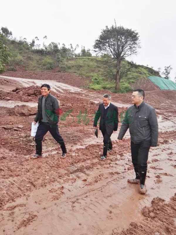 永乐高·(中国区)官方网站