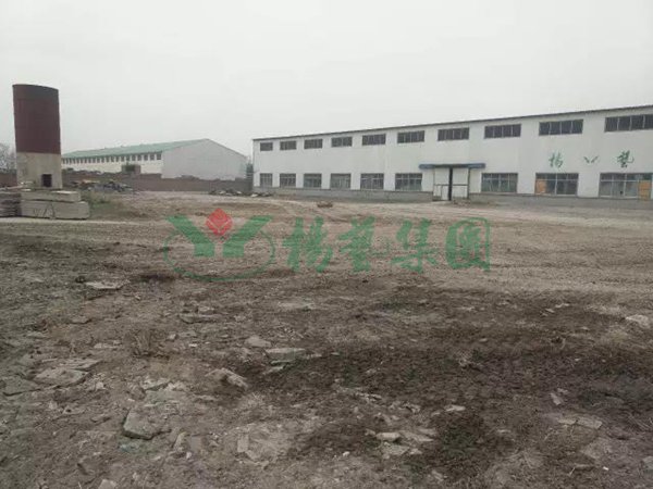 永乐高·(中国区)官方网站