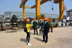 永乐高集团匠心打造景观雕塑型生产基地