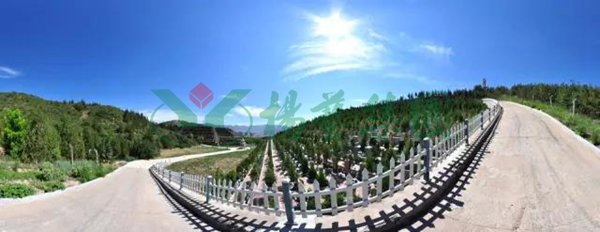 永乐高·(中国区)官方网站