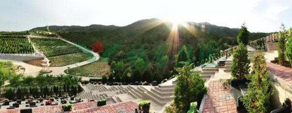 永乐高·(中国区)官方网站