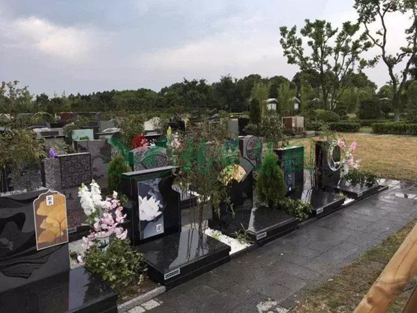 永乐高·(中国区)官方网站