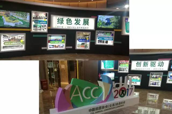 永乐高·(中国区)官方网站