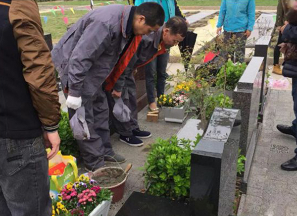 永乐高·(中国区)官方网站