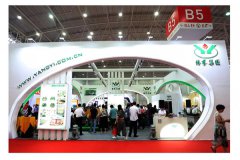 第八届展览会|新品荟萃的永乐高展位