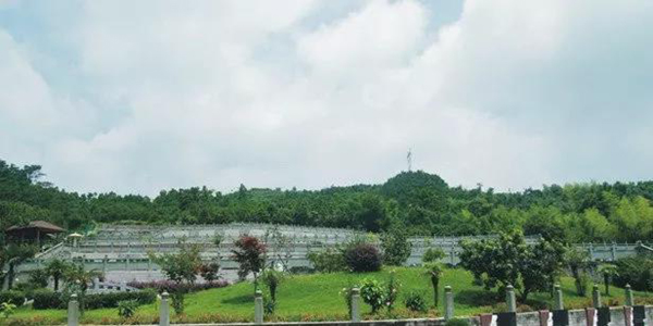 永乐高·(中国区)官方网站