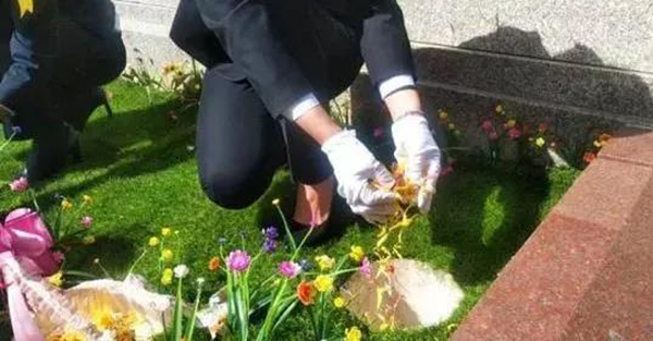 永乐高·(中国区)官方网站