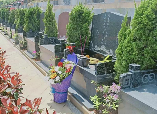 永乐高·(中国区)官方网站