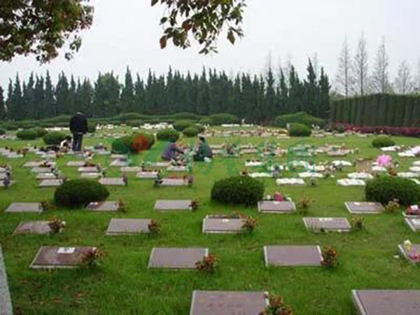 永乐高·(中国区)官方网站