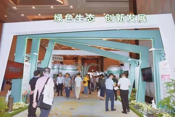 永乐高·(中国区)官方网站