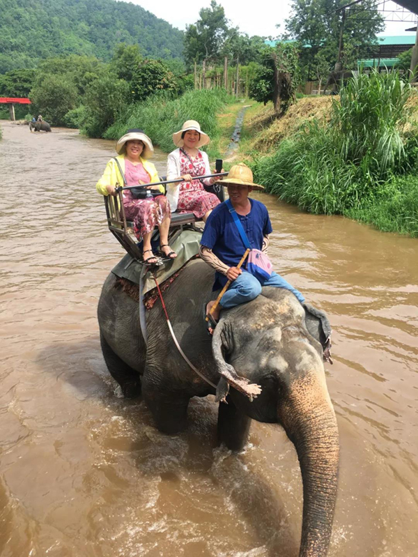 永乐高·(中国区)官方网站