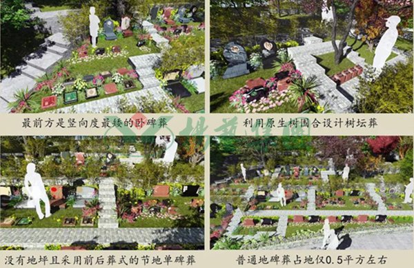 永乐高·(中国区)官方网站