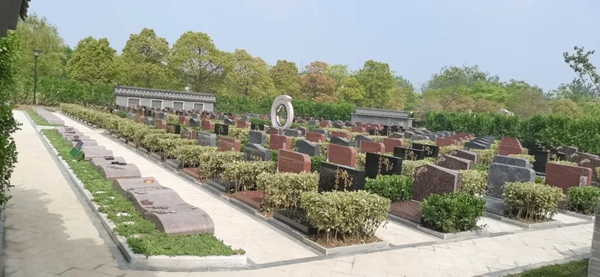 永乐高·(中国区)官方网站