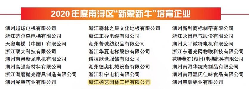 永乐高·(中国区)官方网站