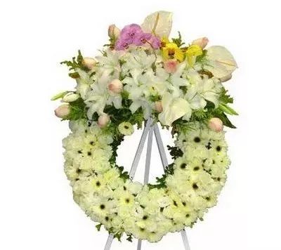 永乐高·(中国区)官方网站