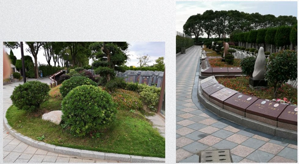 永乐高·(中国区)官方网站