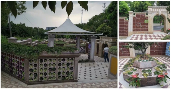 永乐高·(中国区)官方网站