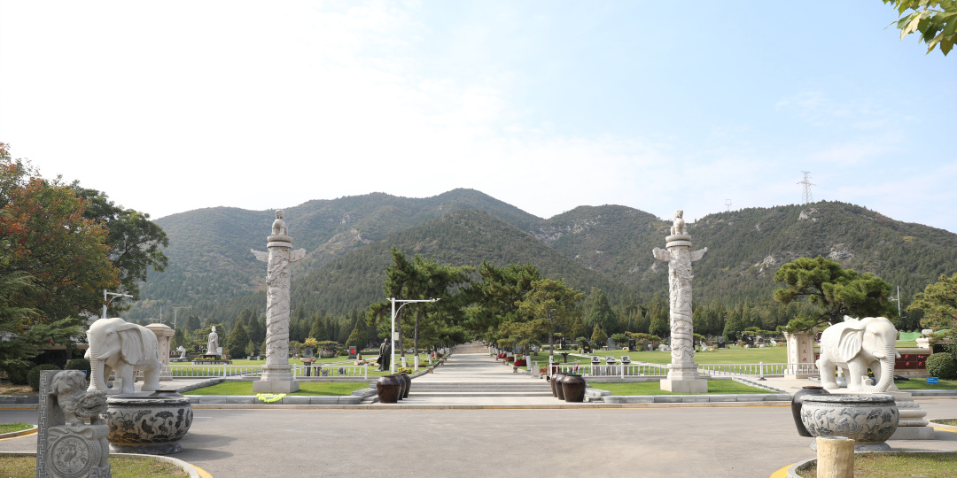 永乐高·(中国区)官方网站